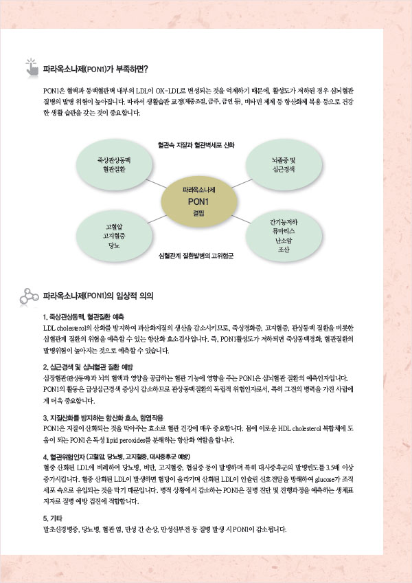 진스 24-3.jpg